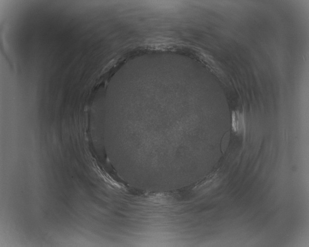 X0000071341155200606261308