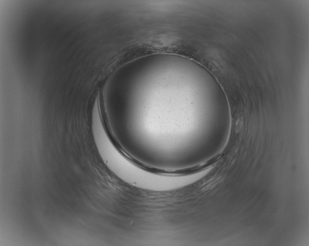 X0000071341156200606261308