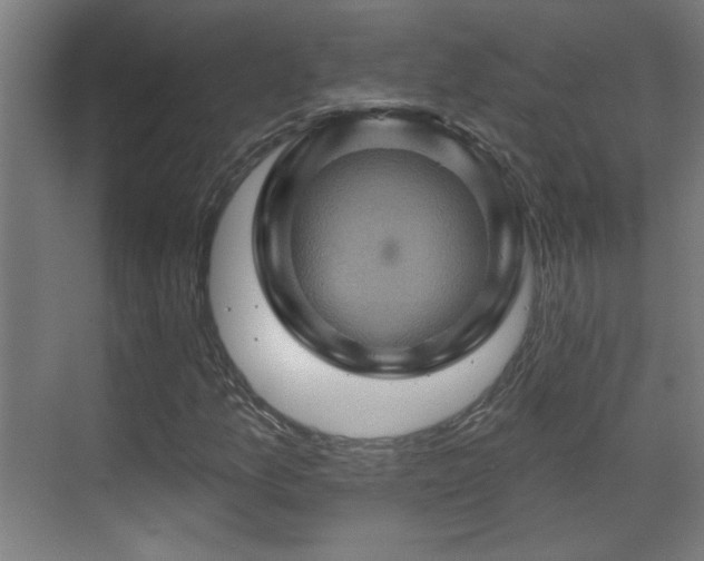 X0000071341157200606261308