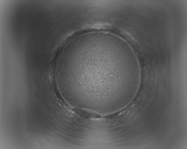 X0000071341158200606261308