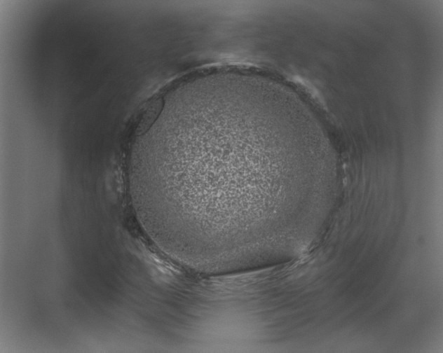 X0000071341159200606261308