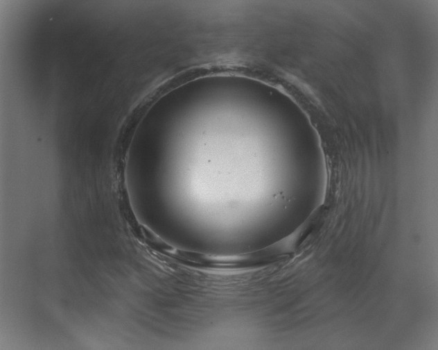 X0000071341160200606261308