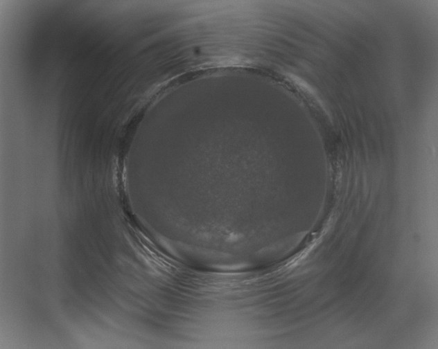 X0000071341161200606261308