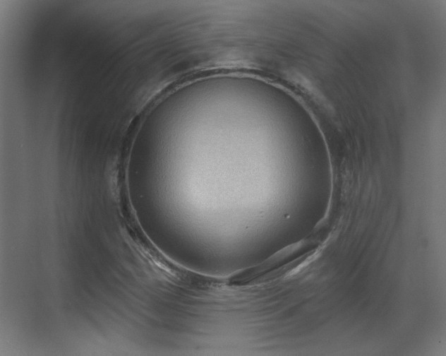 X0000071341162200606261308