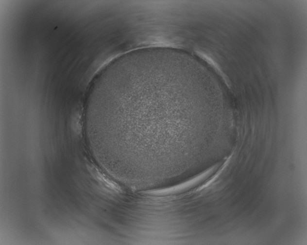 X0000071341163200606261308