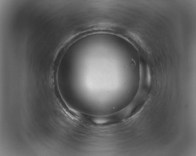 X0000071341164200606261308