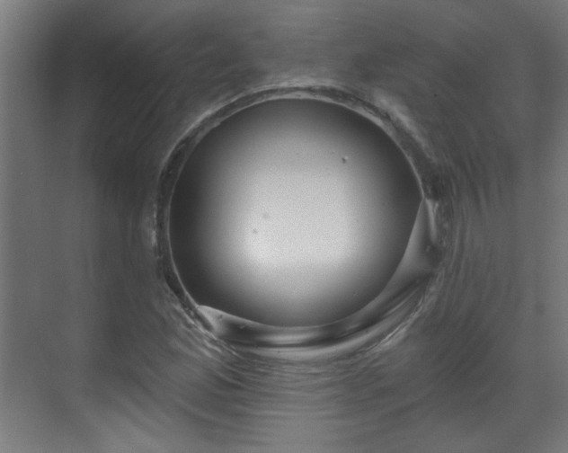 X0000071341165200606261308