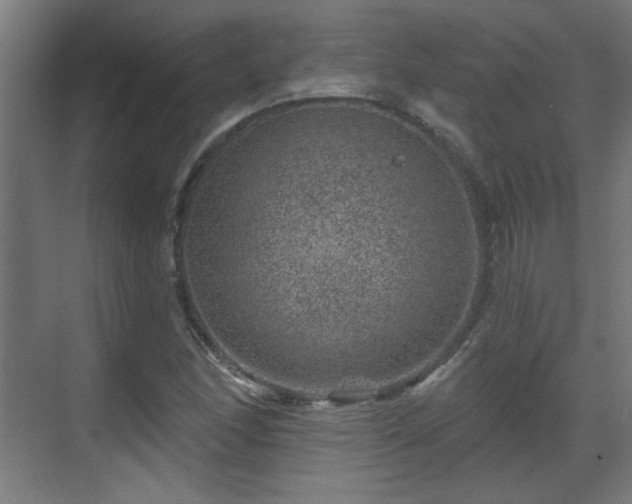 X0000071341166200606261308