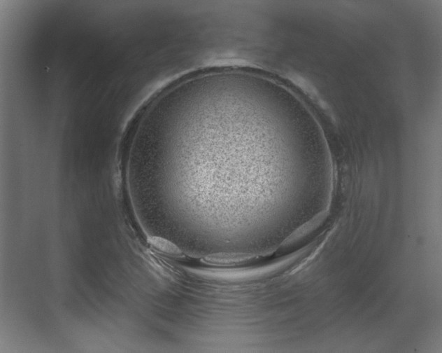 X0000071341167200606261308