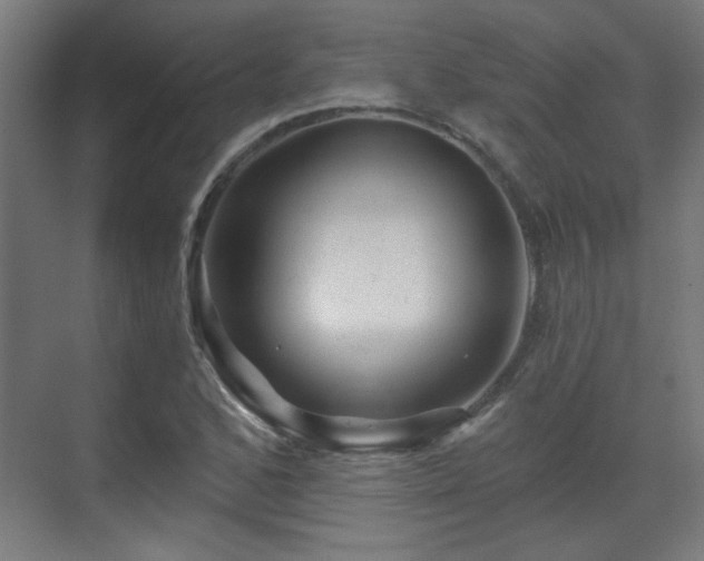 X0000071341168200606261308