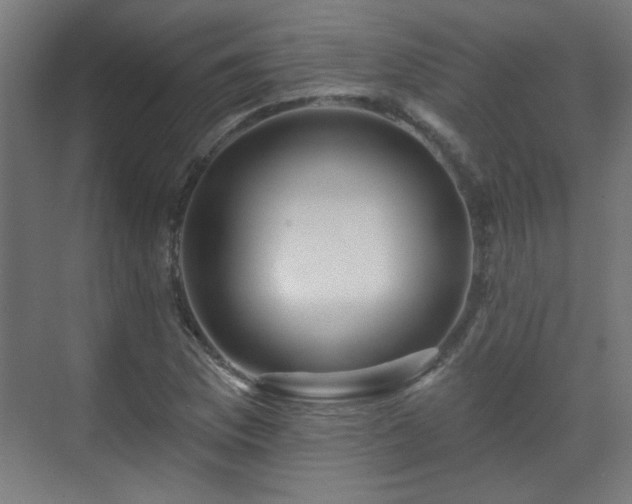 X0000071341169200606261308