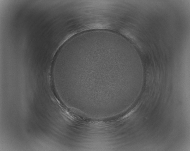 X0000071341170200606261308