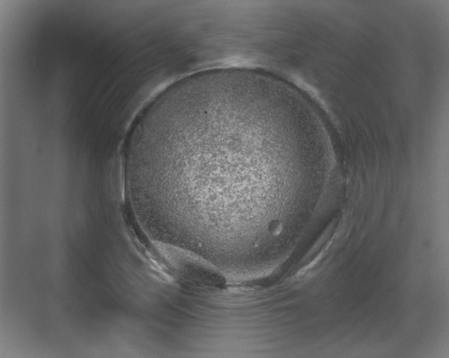 X0000071341171200606261308