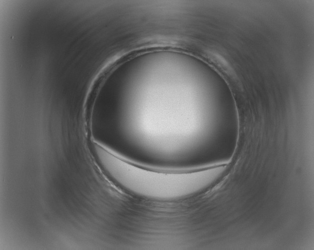 X0000071341172200606261308