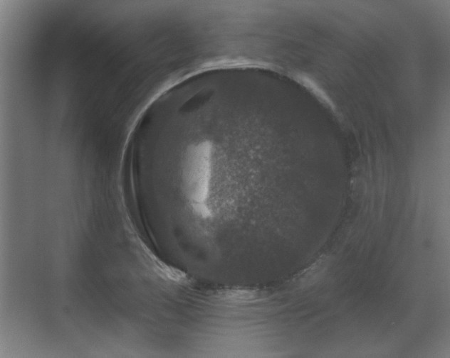 X0000071341173200606261308