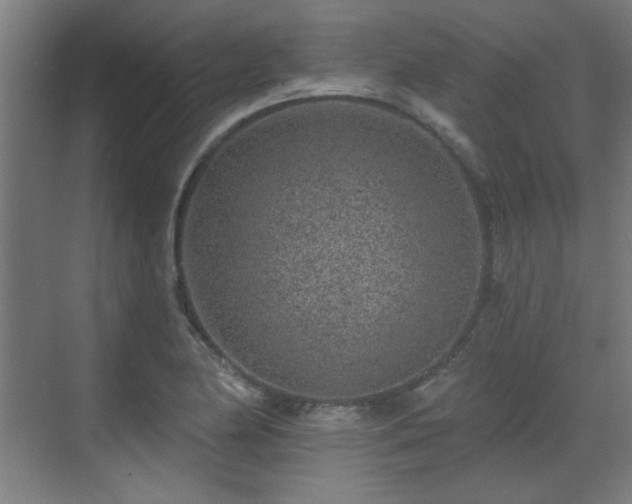 X0000071341174200606261308