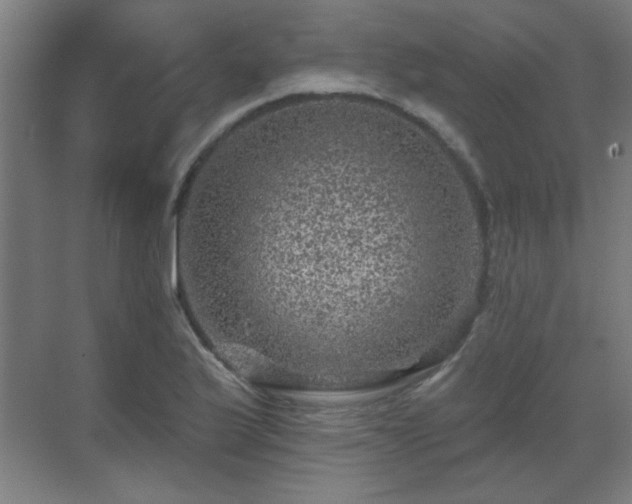 X0000071341175200606261308