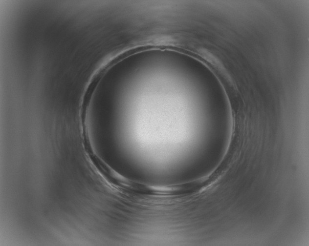 X0000071341176200606261308