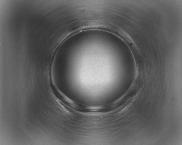 X0000071341177200606261308