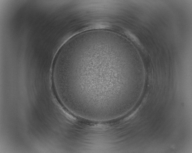 X0000071341178200606261308