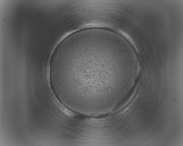 X0000071341179200606261308