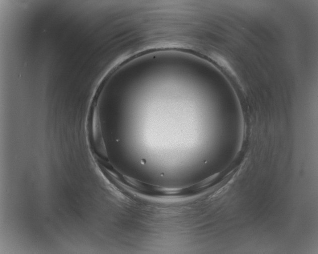 X0000071341181200606261308