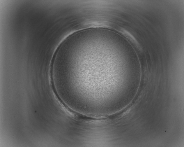 X0000071341182200606261308