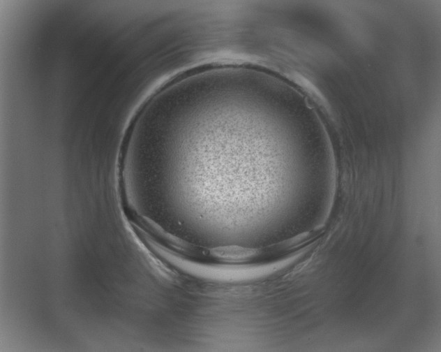 X0000071341183200606261308