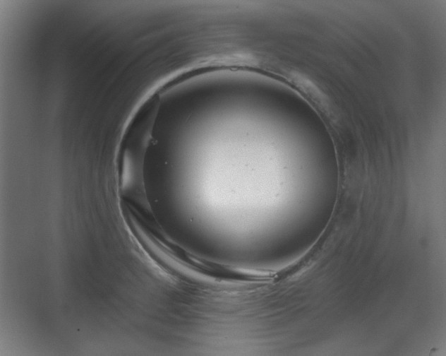 X0000071341184200606261308