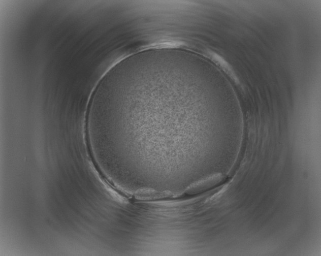 X0000071341186200606261308