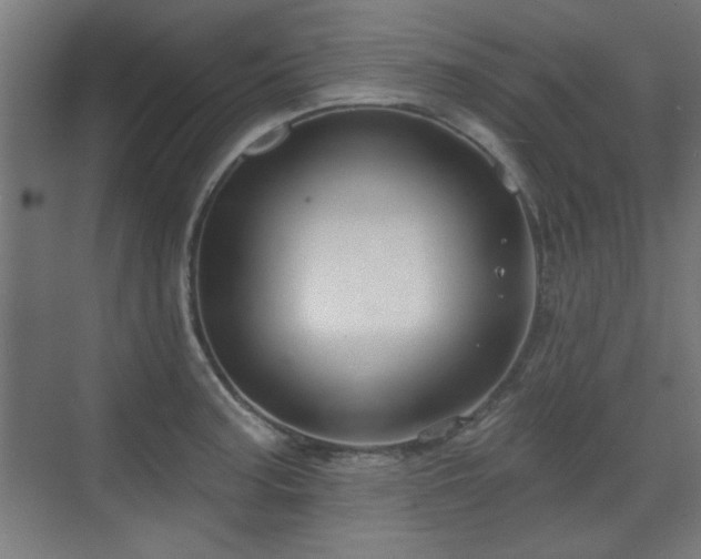 X0000071341187200606261308