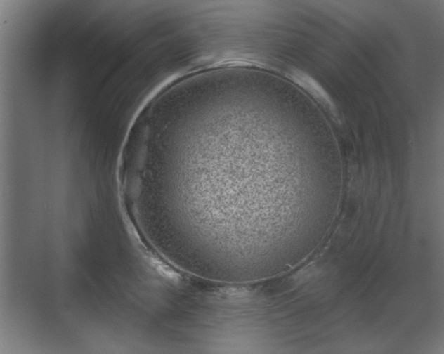 X0000071341190200606261307