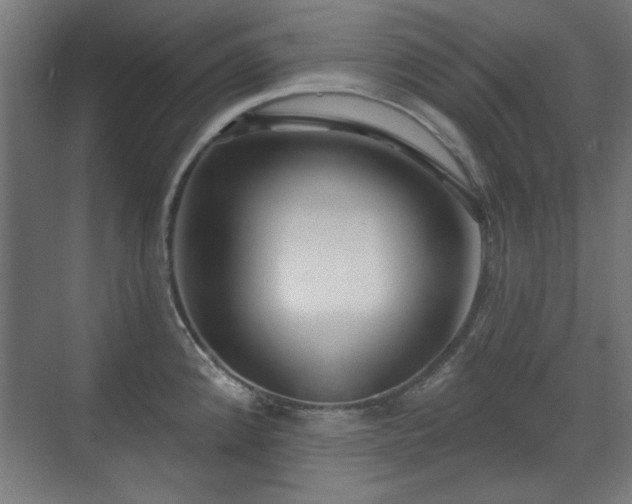 X0000071341192200606261307