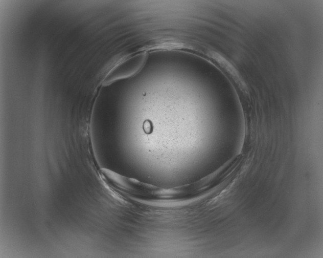 X0000071341193200606261307