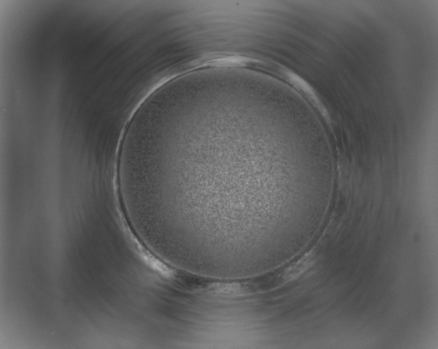 X0000071341194200606261307