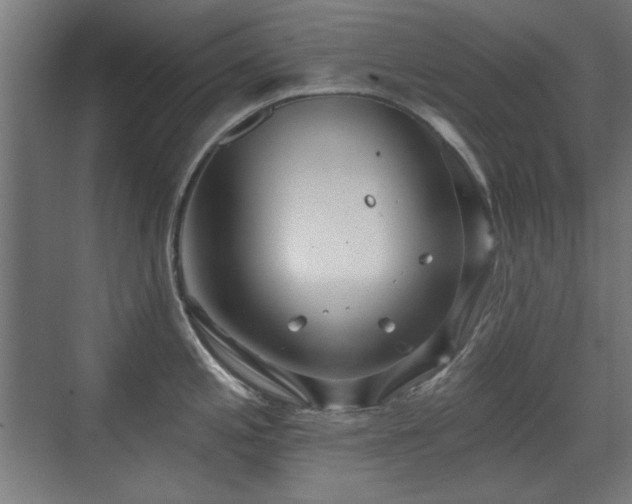 X0000071341197200606261307