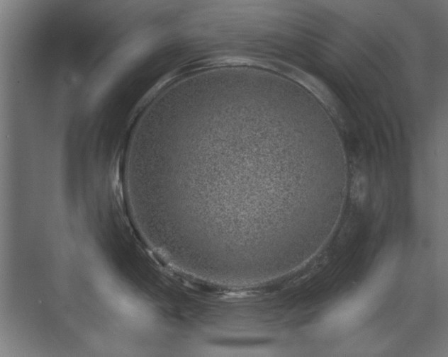 X0000071341198200606261307