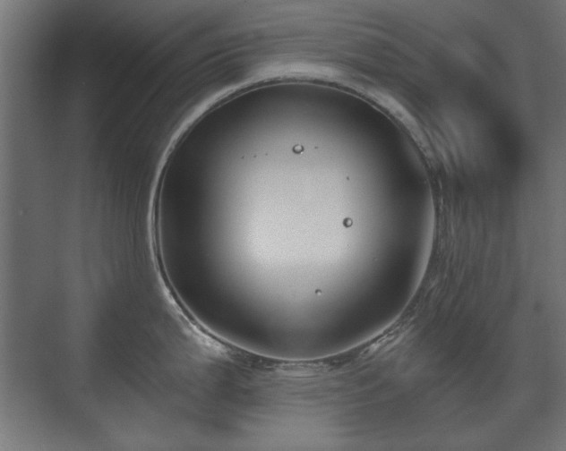 X0000071341199200606261307