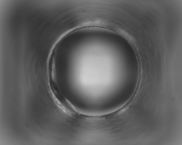 X0000071341200200606261307