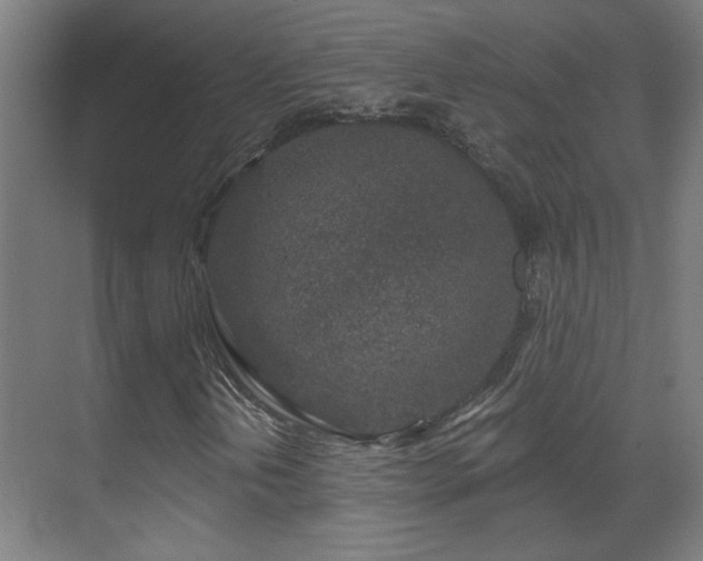 X0000071341202200606261307