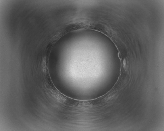 X0000071341203200606261307