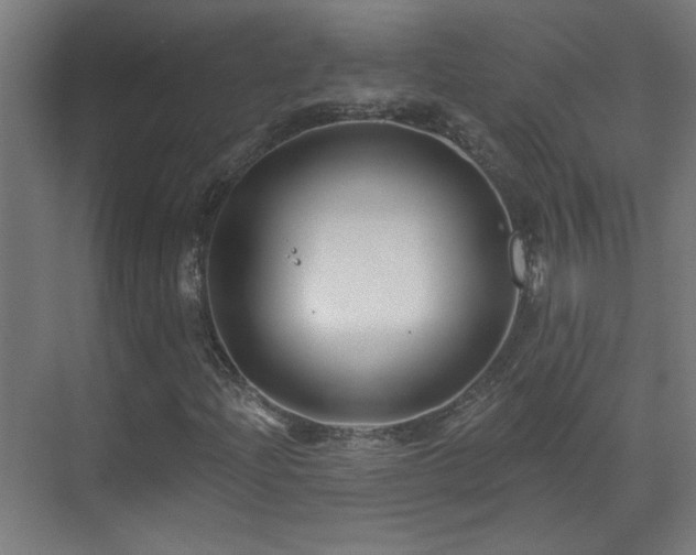 X0000071341204200606261307