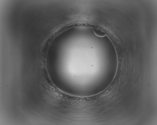 X0000071341207200606261307