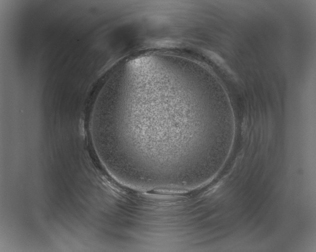 X0000071341209200606261307