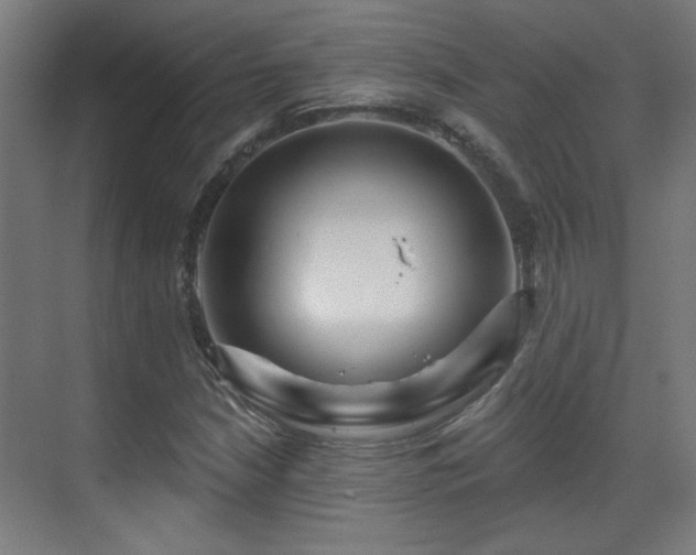 X0000071341210200606261307