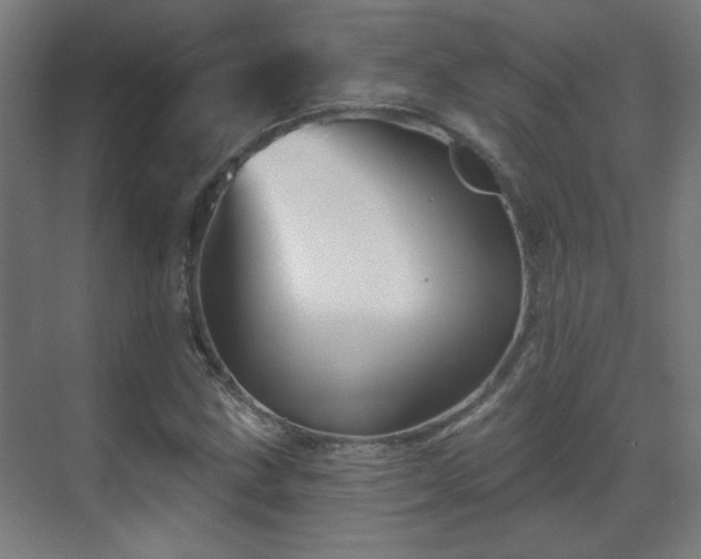 X0000071341211200606261307