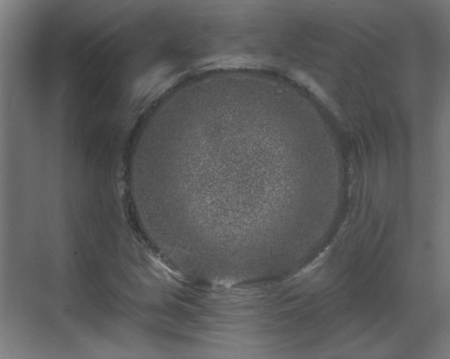 X0000071341213200606261307