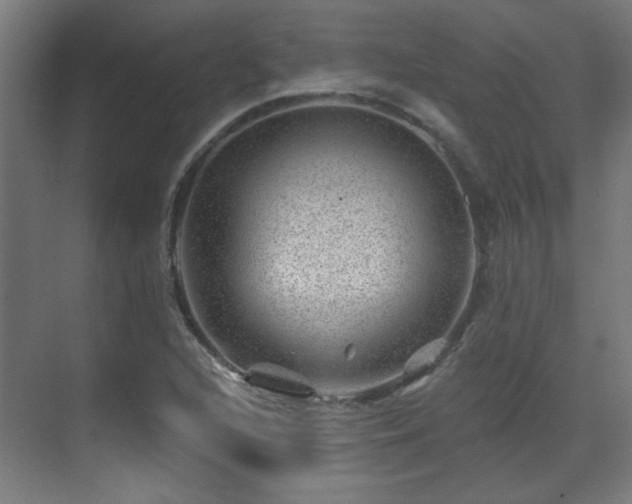 X0000071341216200606261307