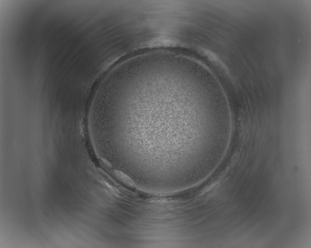 X0000071341217200606261307