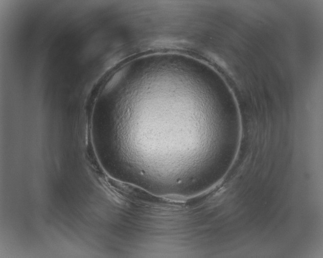 X0000071341219200606261307